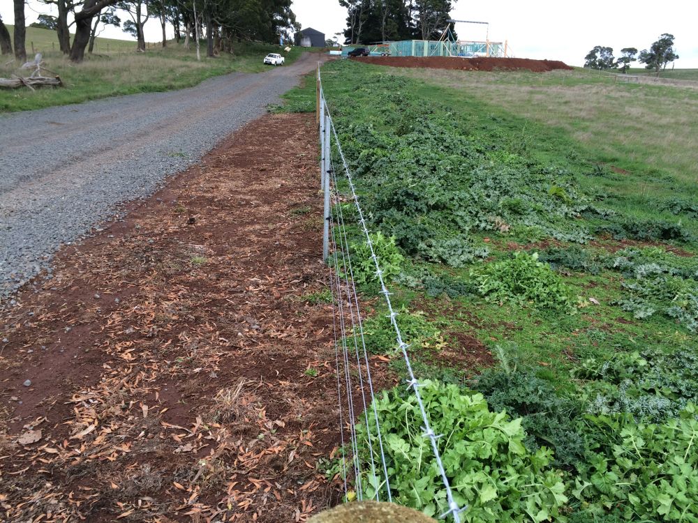 Banish weeds for up to 9 months with one application