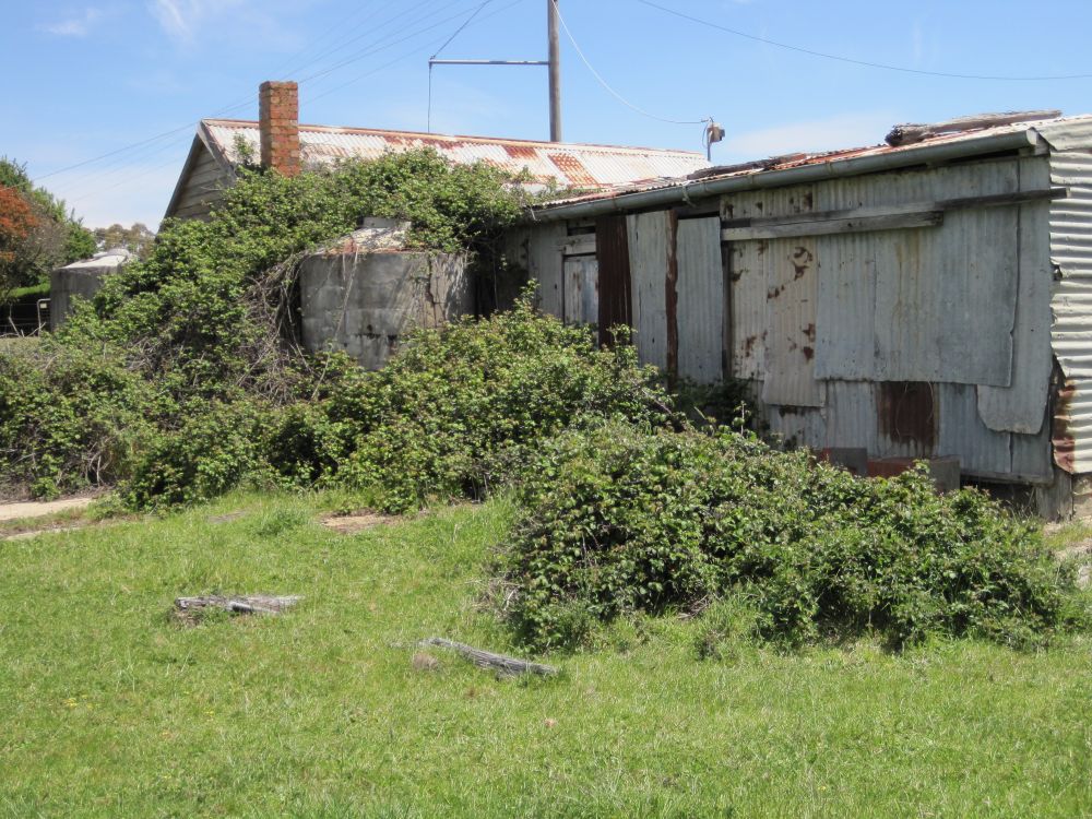 Get on top of woody weeds around your farm