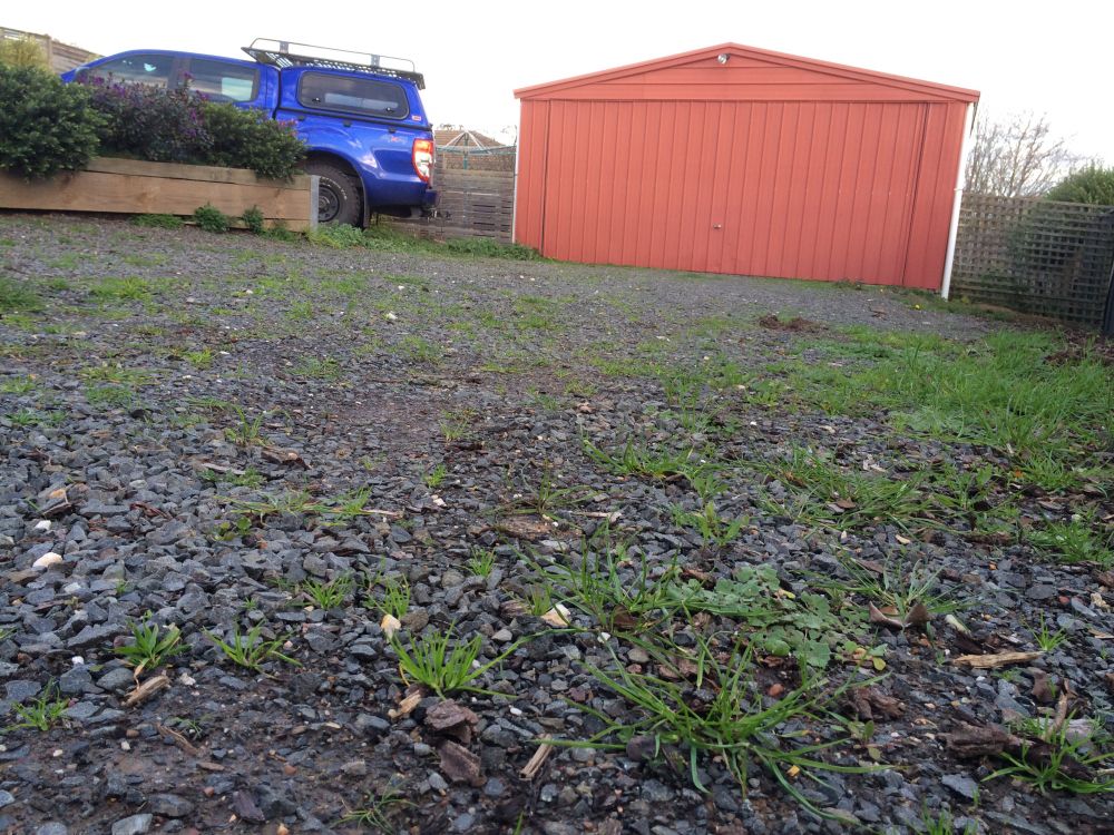 How to get rid of weeds in yards and gravel driveways